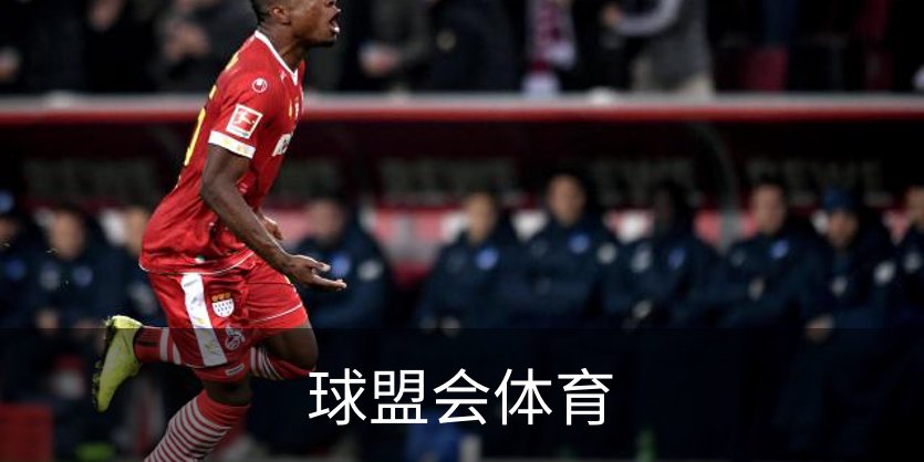 关于球盟会体育